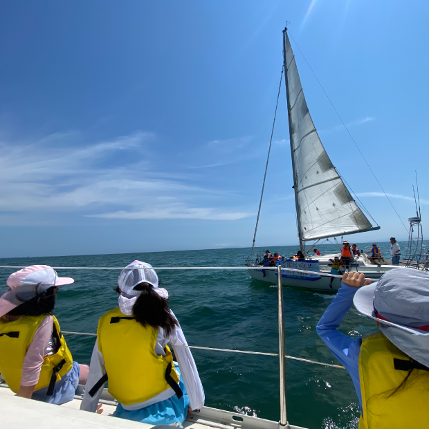 セーリング体験